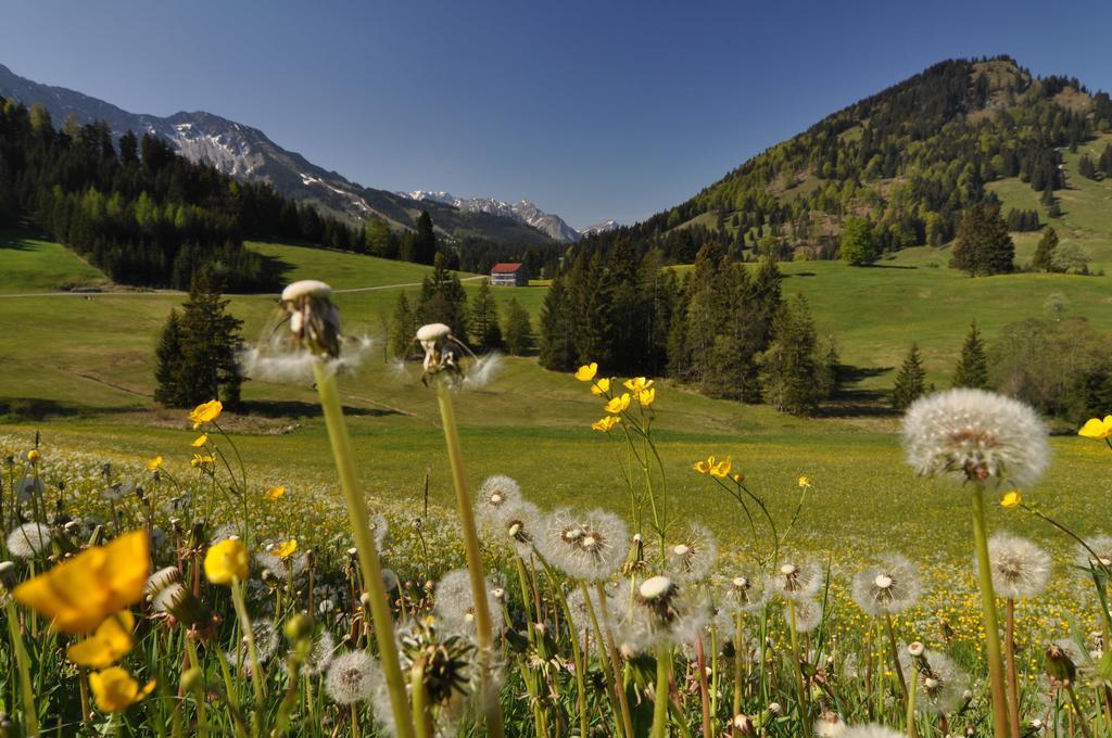 Landhotel Berghof Бад-Хинделанг Номер фото